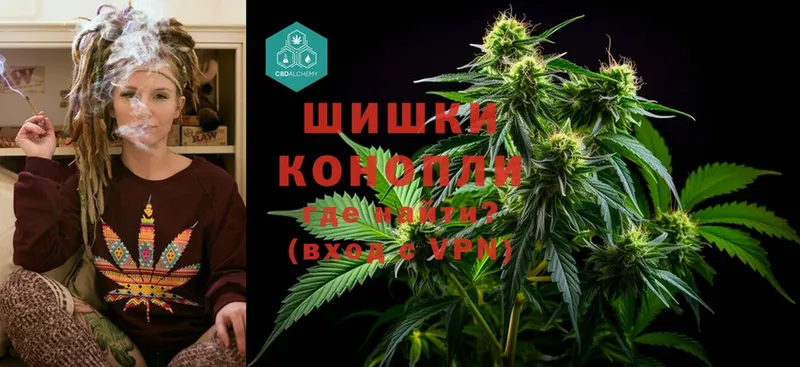 Канабис White Widow  где можно купить наркотик  Никольск 